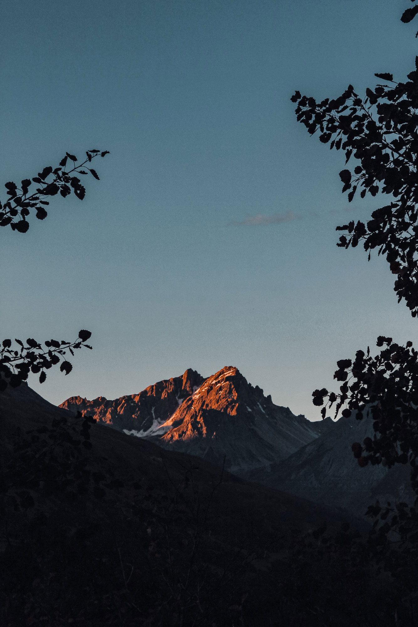 Un brin d&rsquo;air dans la nature