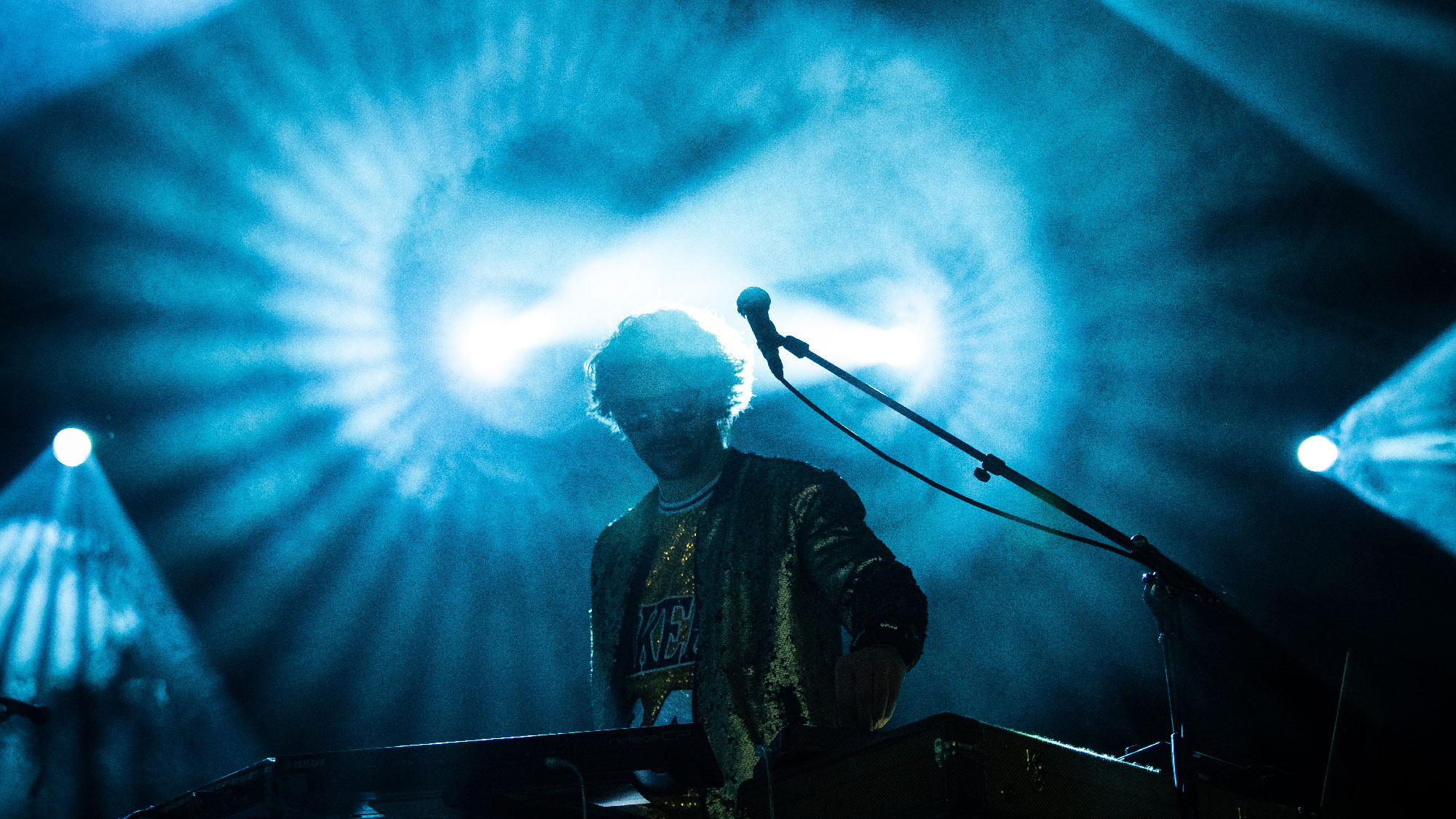 Leopard Da Vinci, NJP 2020